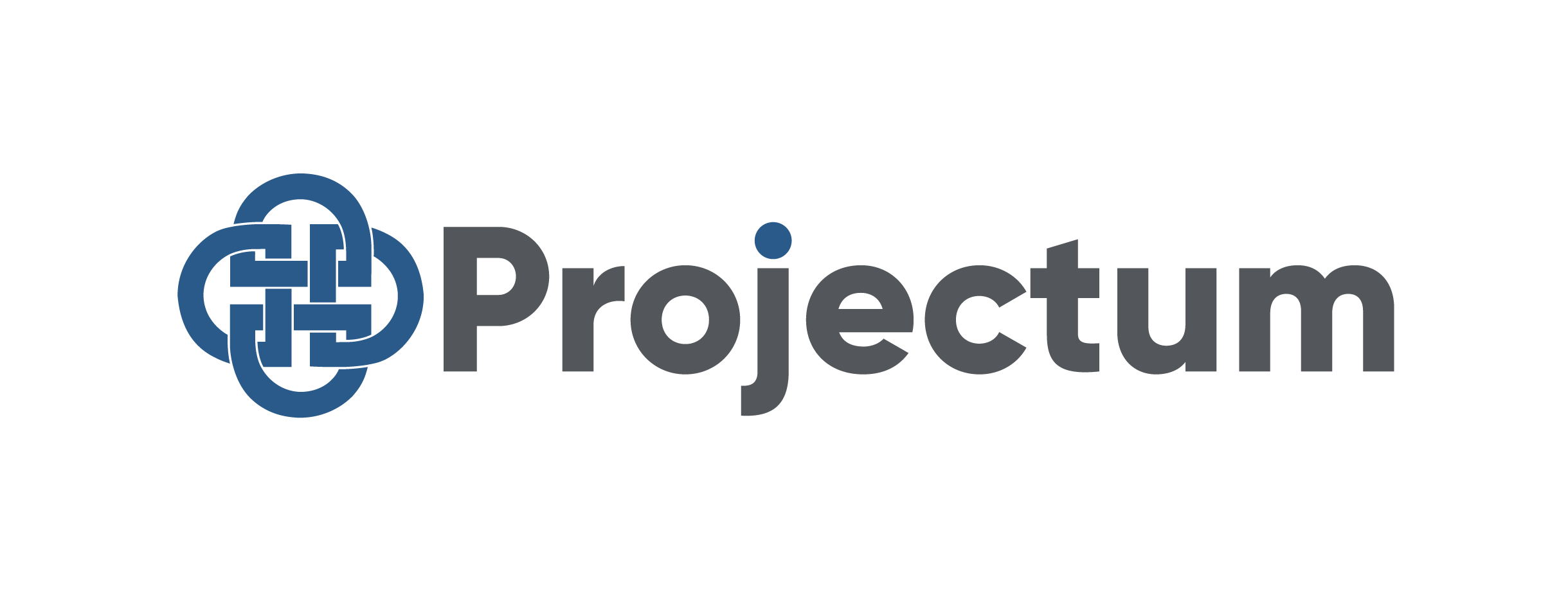 Логотип партёра Projectum