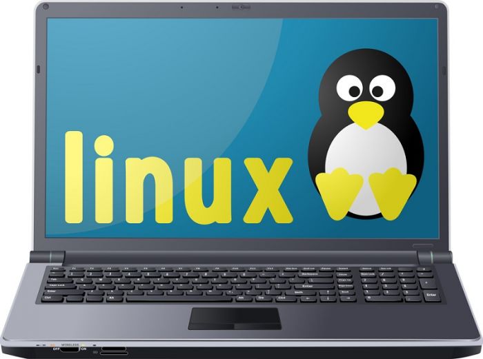 Kickidler operates on Linux!