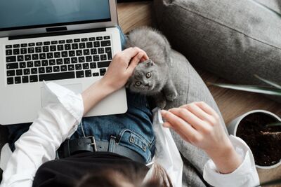 How Working Remotely Affects Employee Productivity