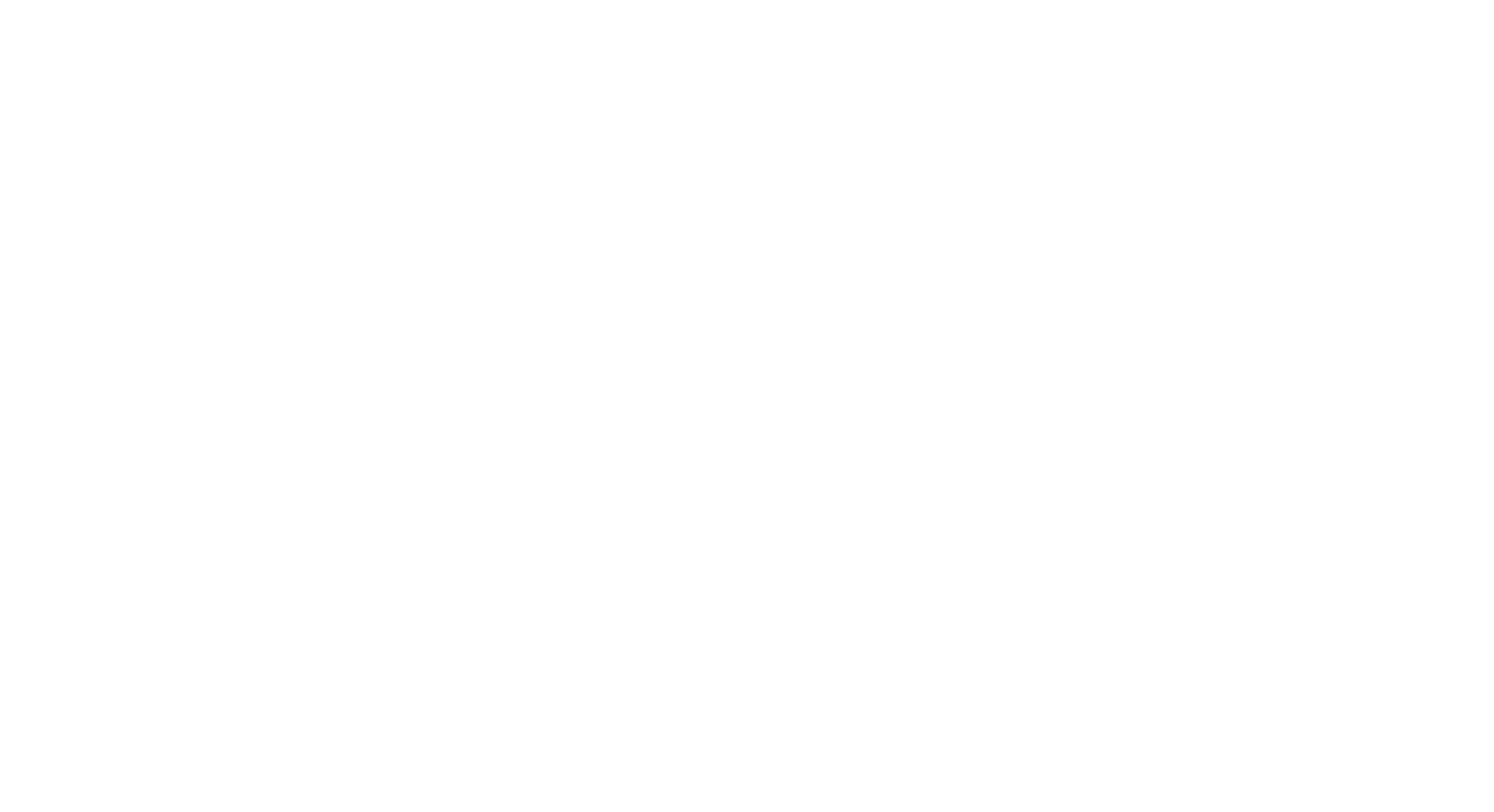 KeepActive logo white.